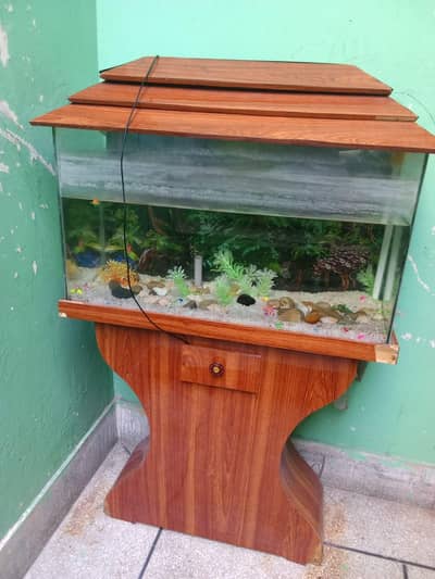 fish aquarium with air pump