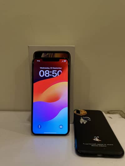 Apple iPhone XS Max 64 GB Single Sim PTA Approved