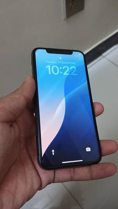 Apple iPhone X