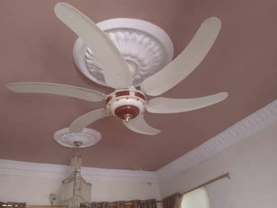 three ceiling fans ek sada Do fancy
