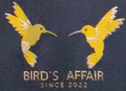 Lady Gouldian Exhibition Size Chick's & adult pairs available