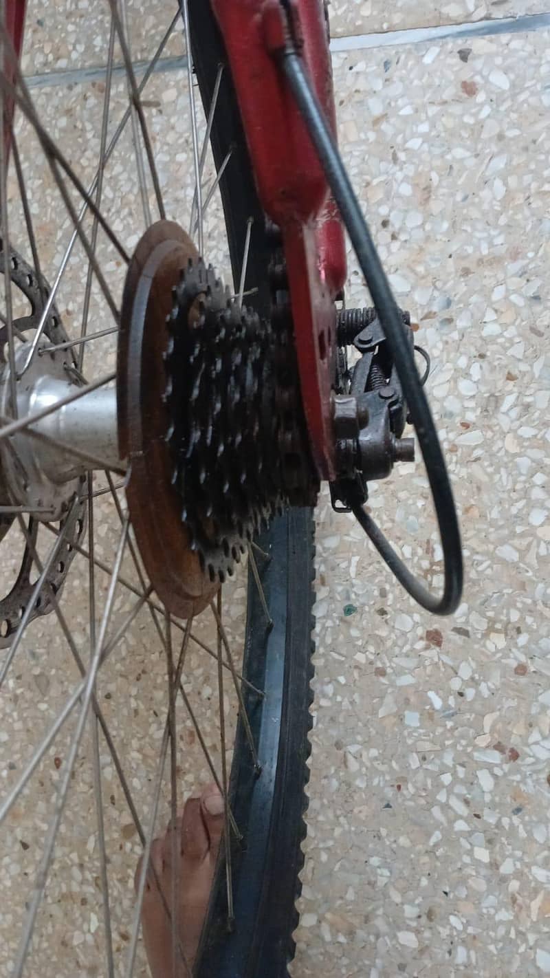 imported cycle ALUMINUM BODY 1