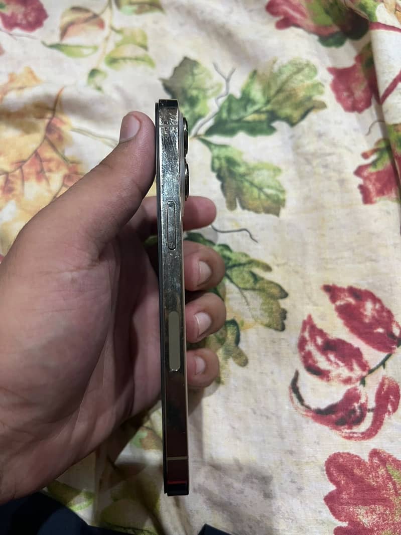 Apple iPhone 13 Pro 3