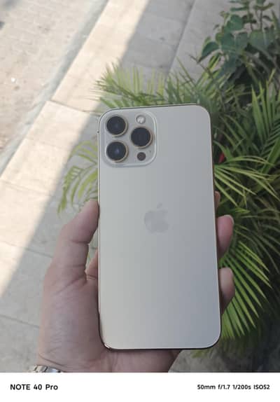 Apple iPhone 13 Pro Max