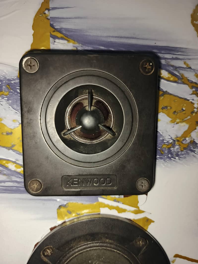 speaker woofer 2