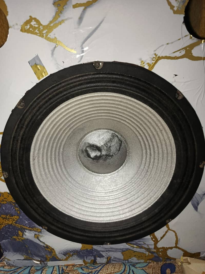 speaker woofer 6