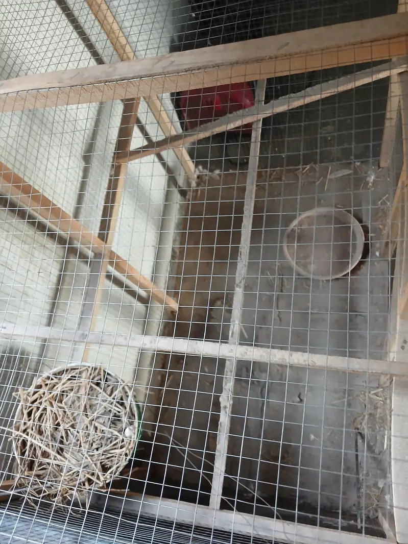 Wooden cage — photo 3