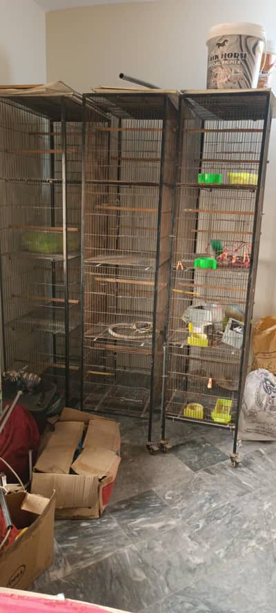 love bird cage