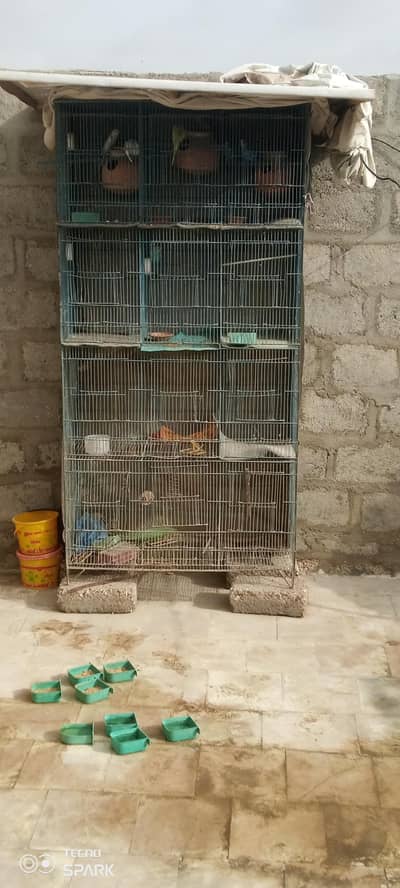 12 portion cage 3 pair budgies