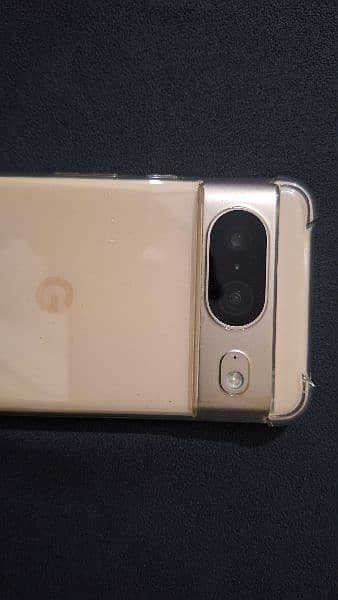 Pta Google 8 1