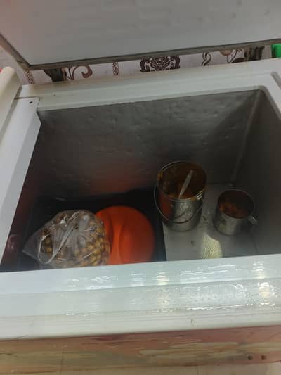walls freezer 2 door