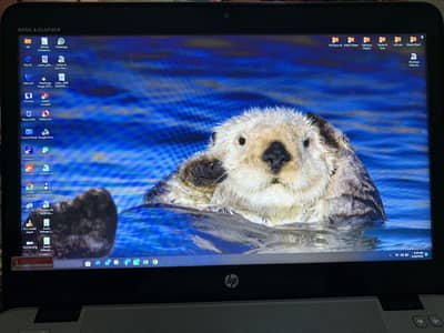 HP Laptop urgent Sale