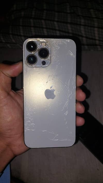 Apple iPhone 13 Pro Max