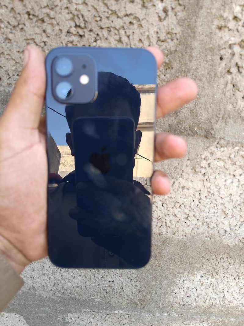 Apple iPhone 12 1