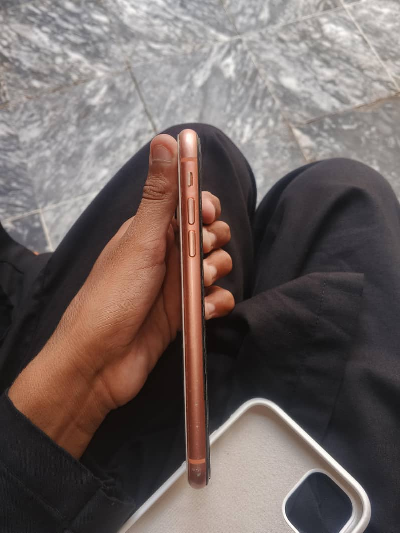 iphone XR 5