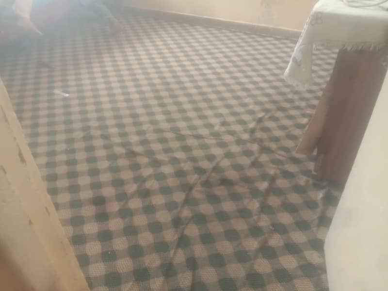 Carpet 1