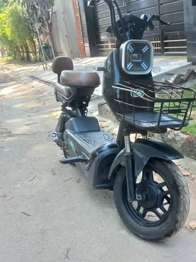 Electa Runner Electric Bike | 500W Motor | 48V 23Ah Battery | Black