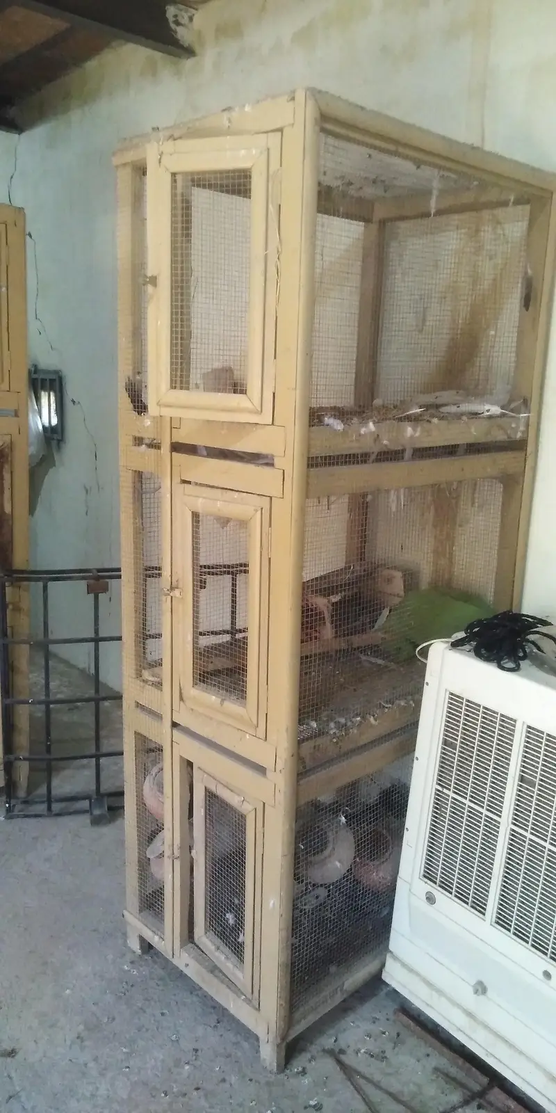 Best Quality wooden birds cage — photo 2