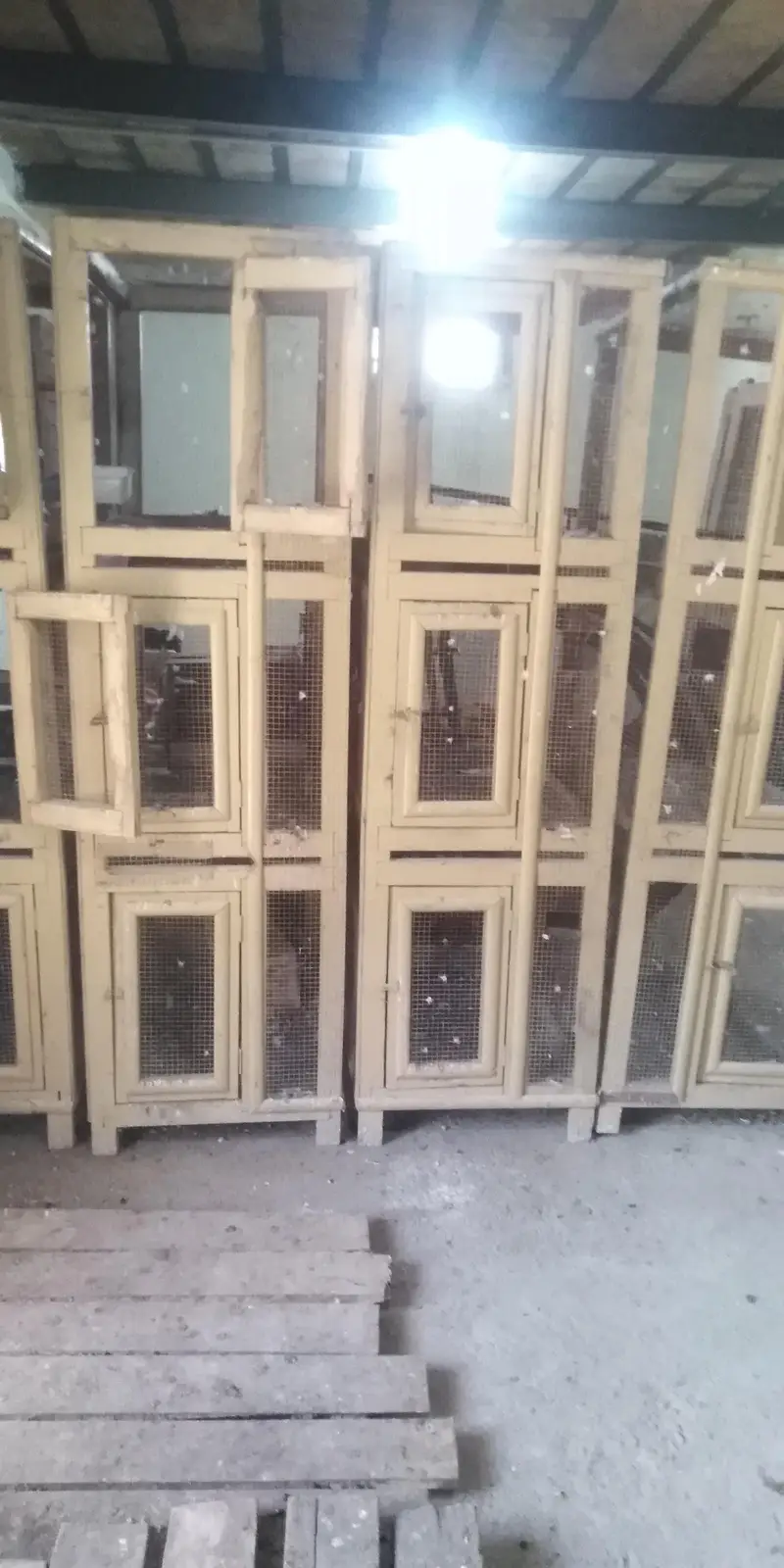 Best Quality wooden birds cage — photo 3