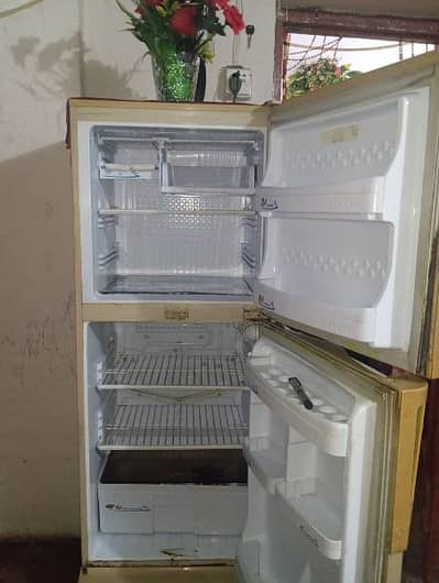 Pel freezer for sale