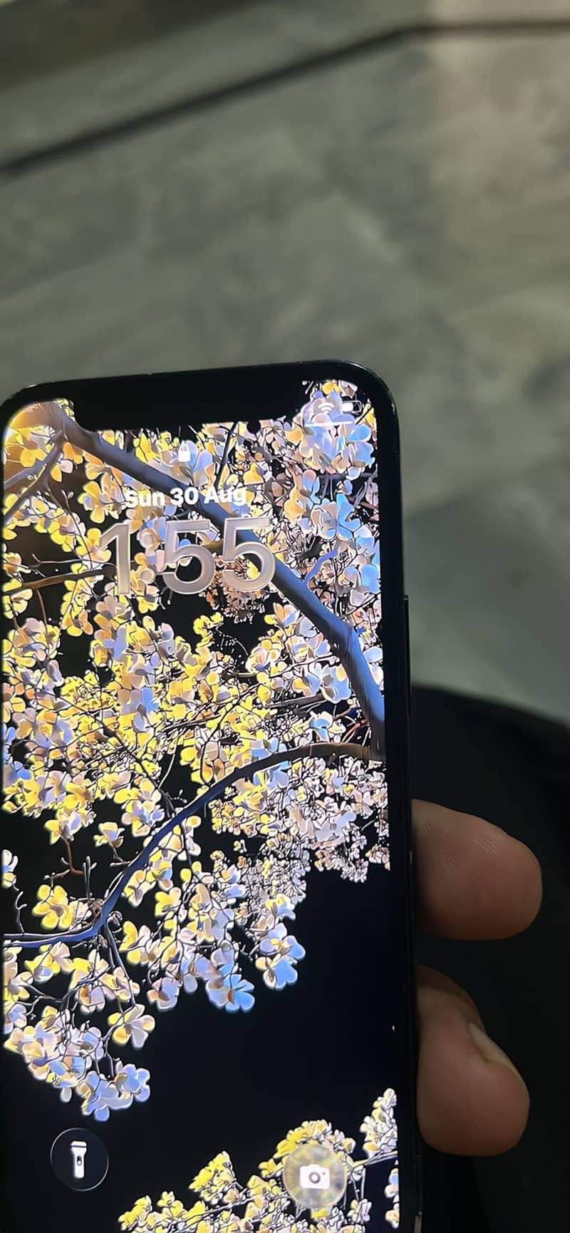 Apple iPhone 12 mini 2