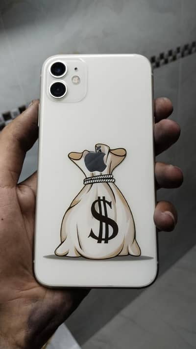 wattsapp Contact 03179795054