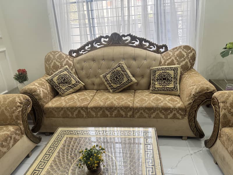 Lush condition sofa 6
