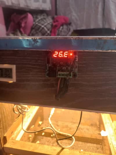 incubators for sell