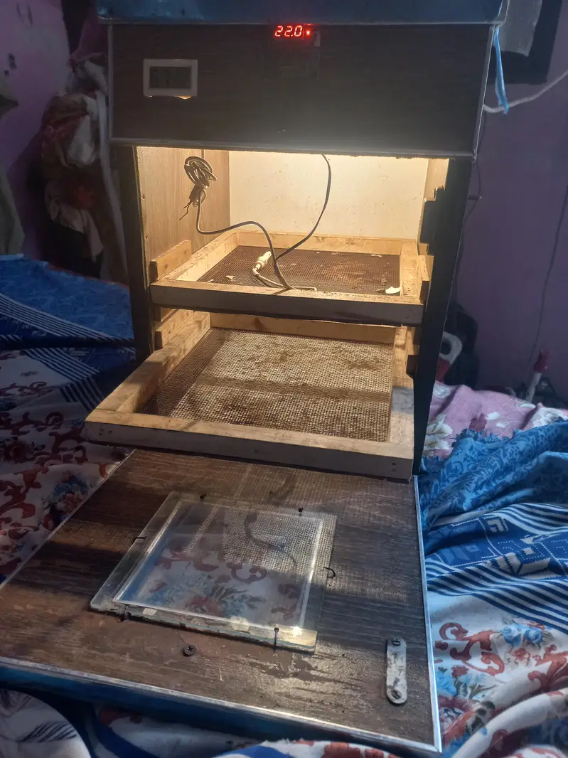 incubators for sell — photo 2