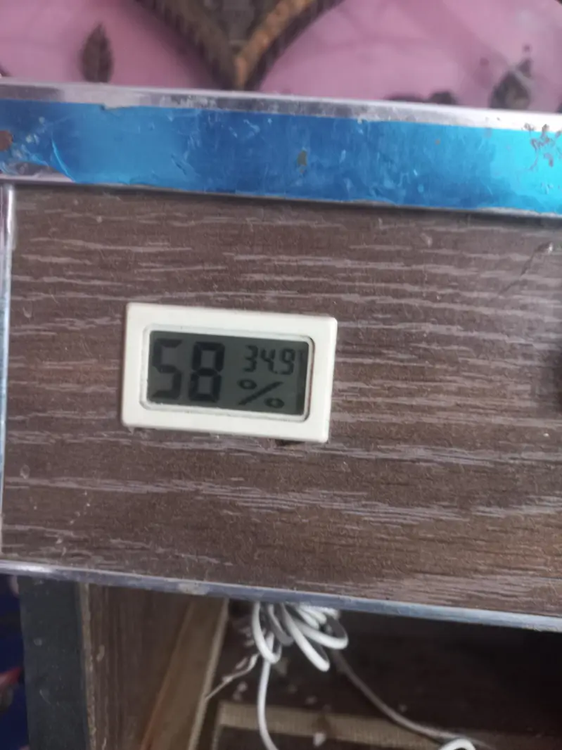 incubators for sell — photo 3