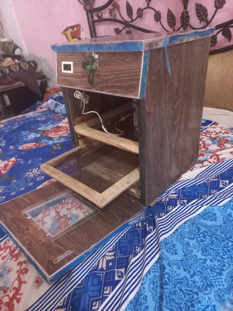 incubators for sell — photo 5