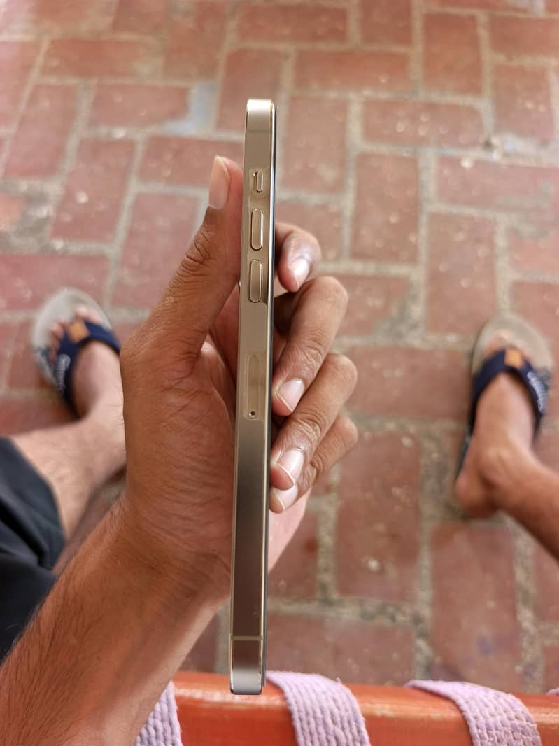 Apple iPhone 14 Pro Max 2