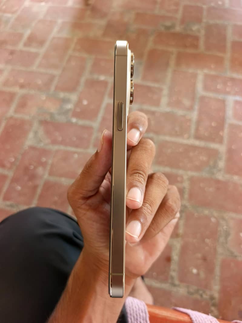 Apple iPhone 14 Pro Max 3