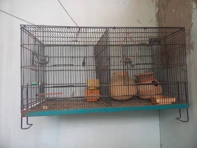 bird's cage with partition