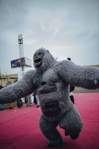 Gorilla mascot (costume) in all sizes