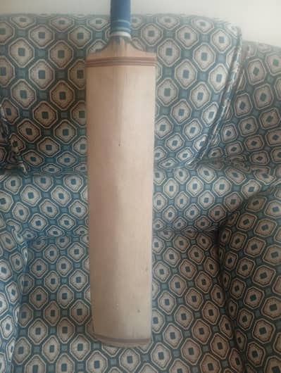 Brand New bat for sale ,reasonable price