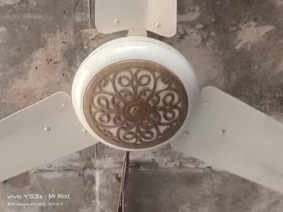 Sufi Fan 56 in
