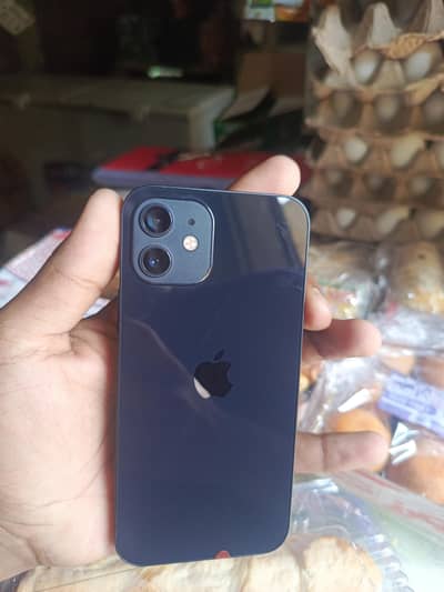Apple iPhone 12