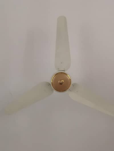 Ceiling Fan, New Condition,  used 4 years Only
