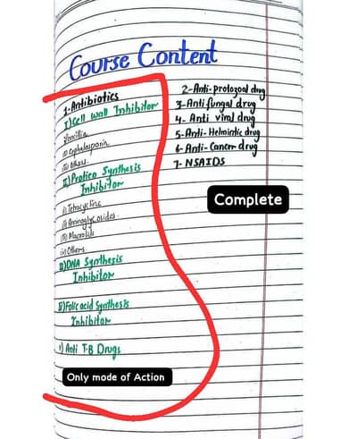 Assignment Handwritten & Ms Word Typing work  /100 Rs - page