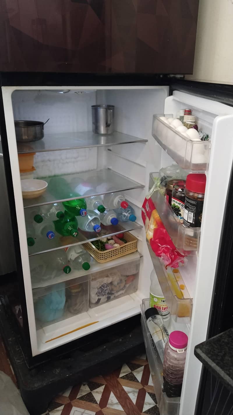 Pel Fridge 0