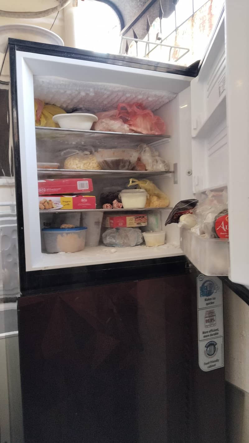 Pel Fridge 1
