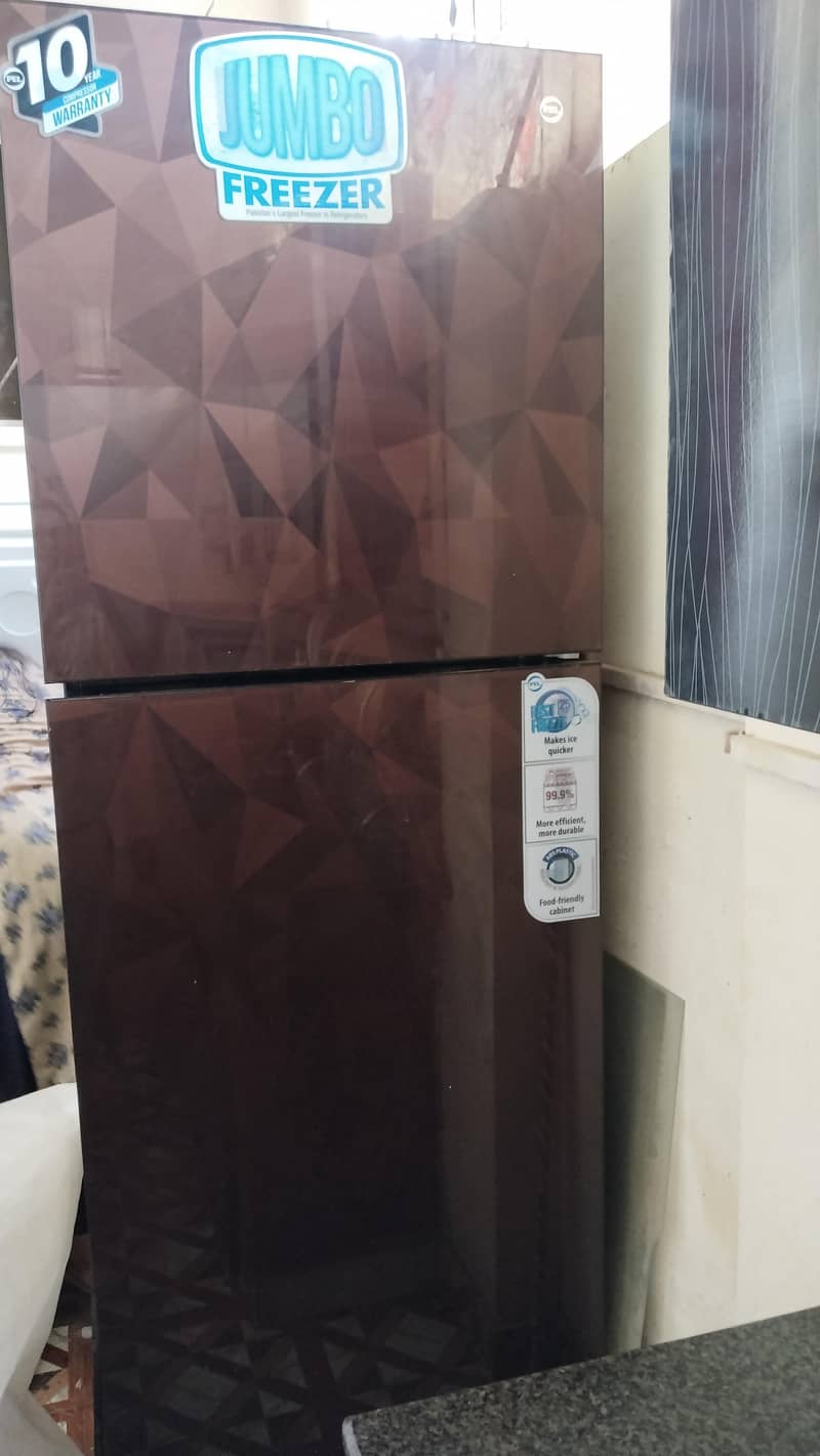 Pel Fridge 2