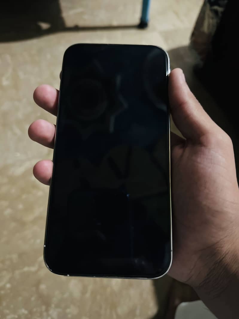 Apple iPhone 13 Pro Max 3