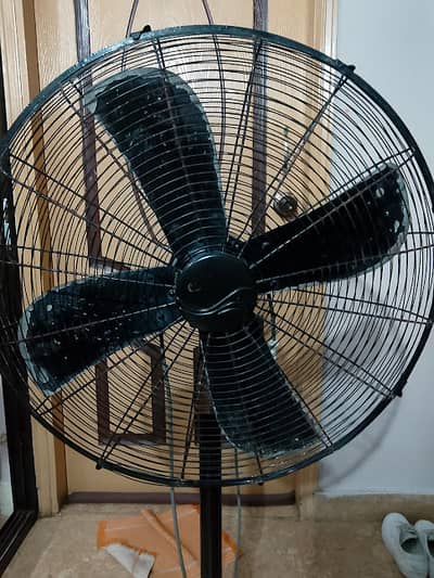 Pedestal Fans