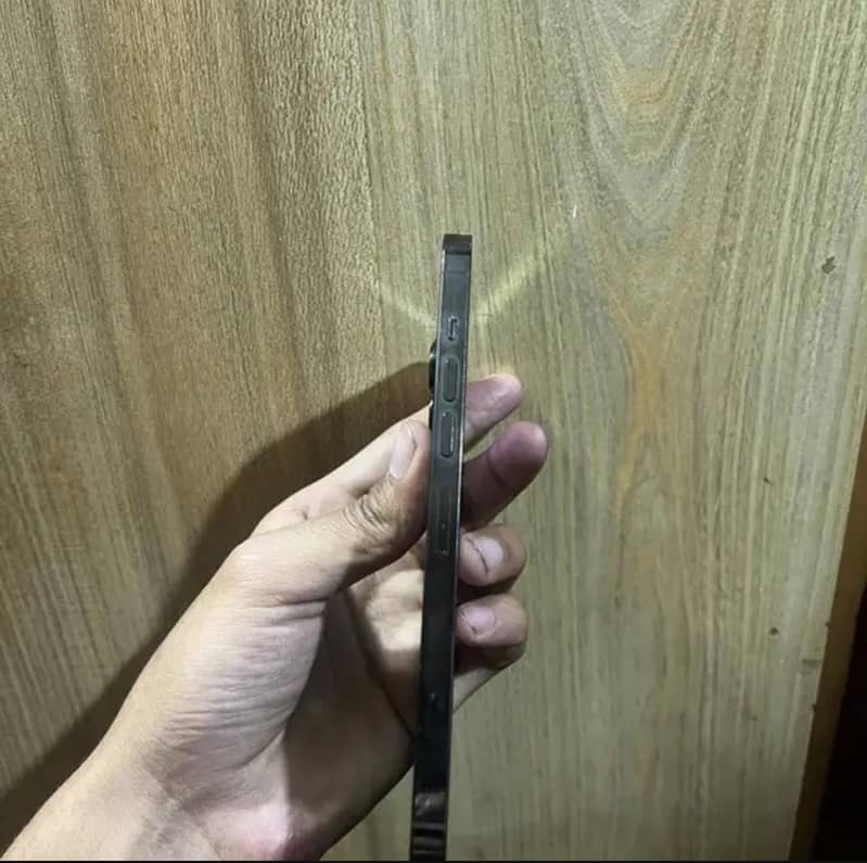 Apple iPhone 13 Pro Max 1