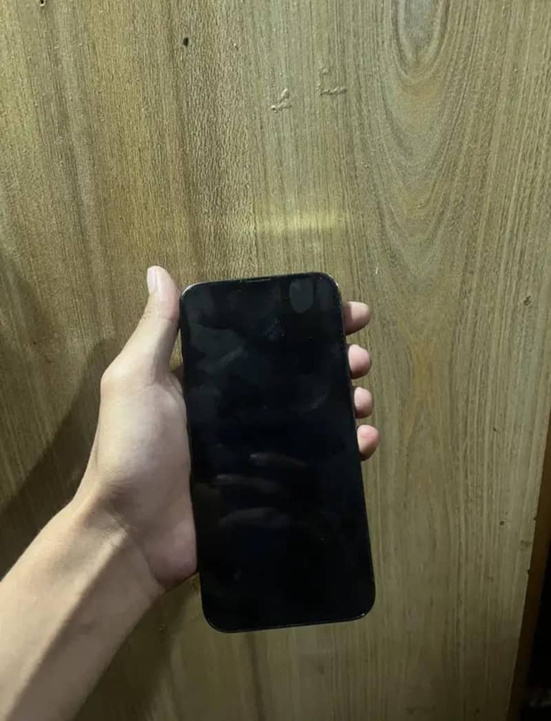 Apple iPhone 13 Pro Max 2
