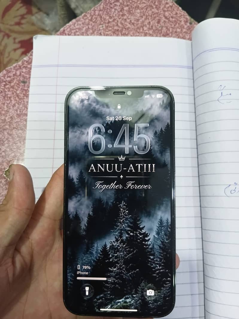 Apple iPhone 12 Pro Max 2
