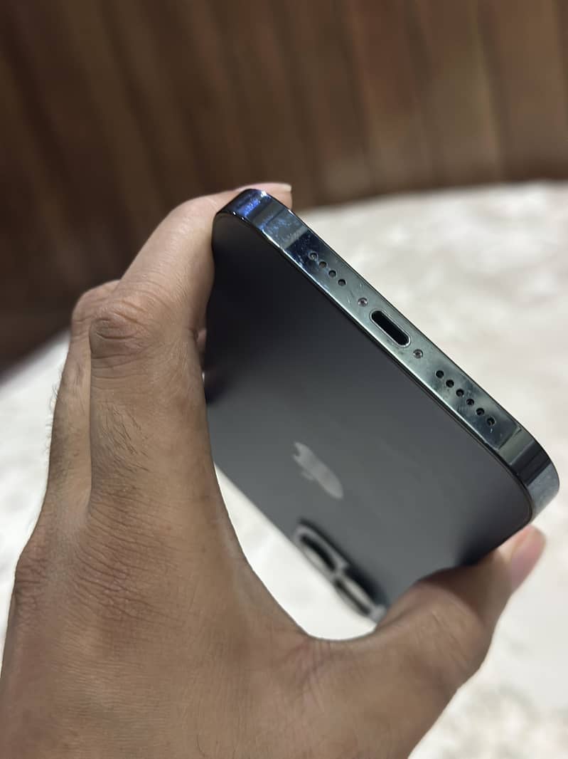 Apple iPhone 12 Pro Max 1