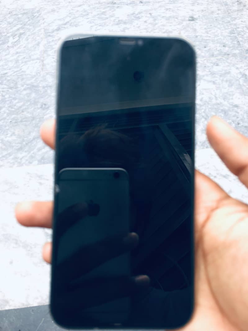 Apple iPhone 12 Pro Max 1